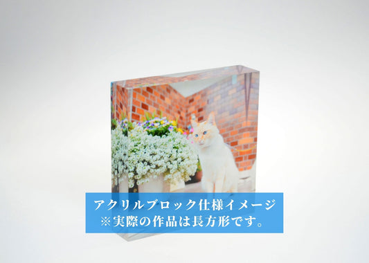 #Miria18「Transparency」Photo Artwork