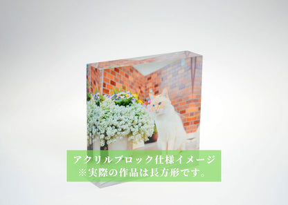 #Yui19「Transparency」Photo Artwork